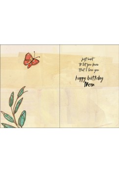 BR125 MOM